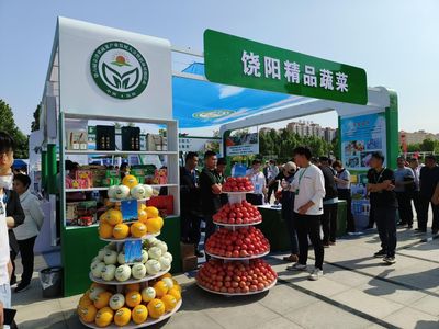 首批6个京津冀蔬菜直采直供服务中心落地河北