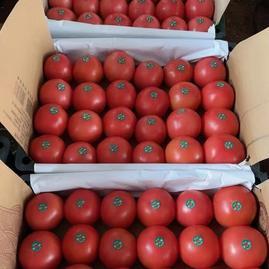 河北衡水饶阳县饶阳众益农产品代收 - 一亩田